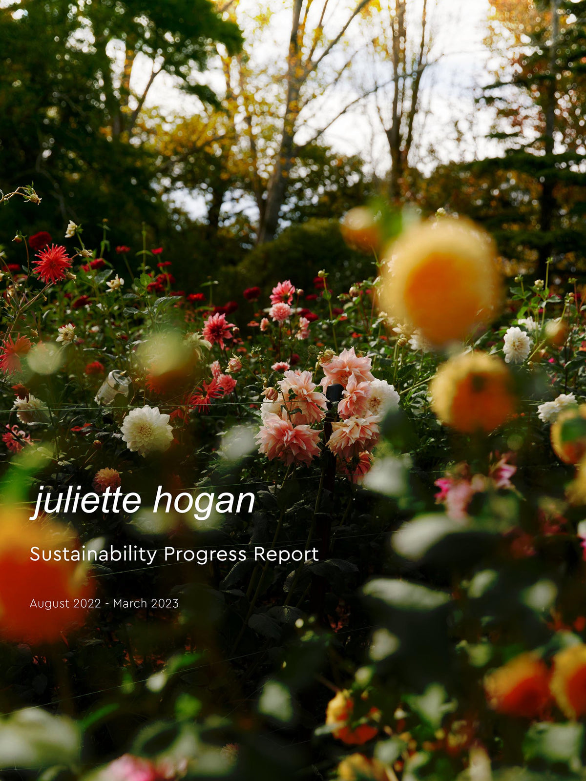 FROM JULIETTE / OUR 2023 SUSTAINABILITY PROGRESS REPORT