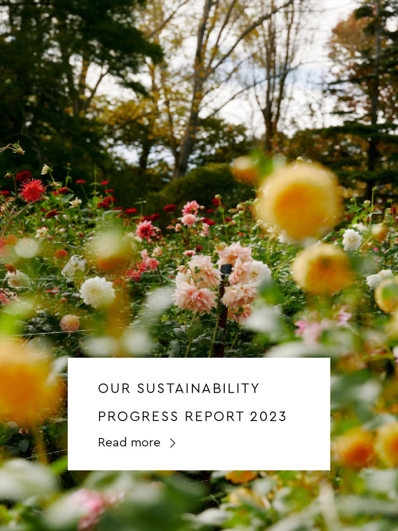 Sustainability Progress Report
