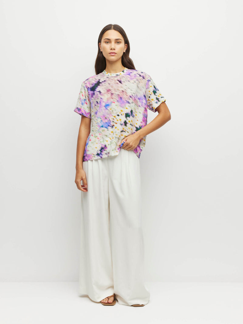 Fancy T (Lavender Mist Silk CDC) Aster