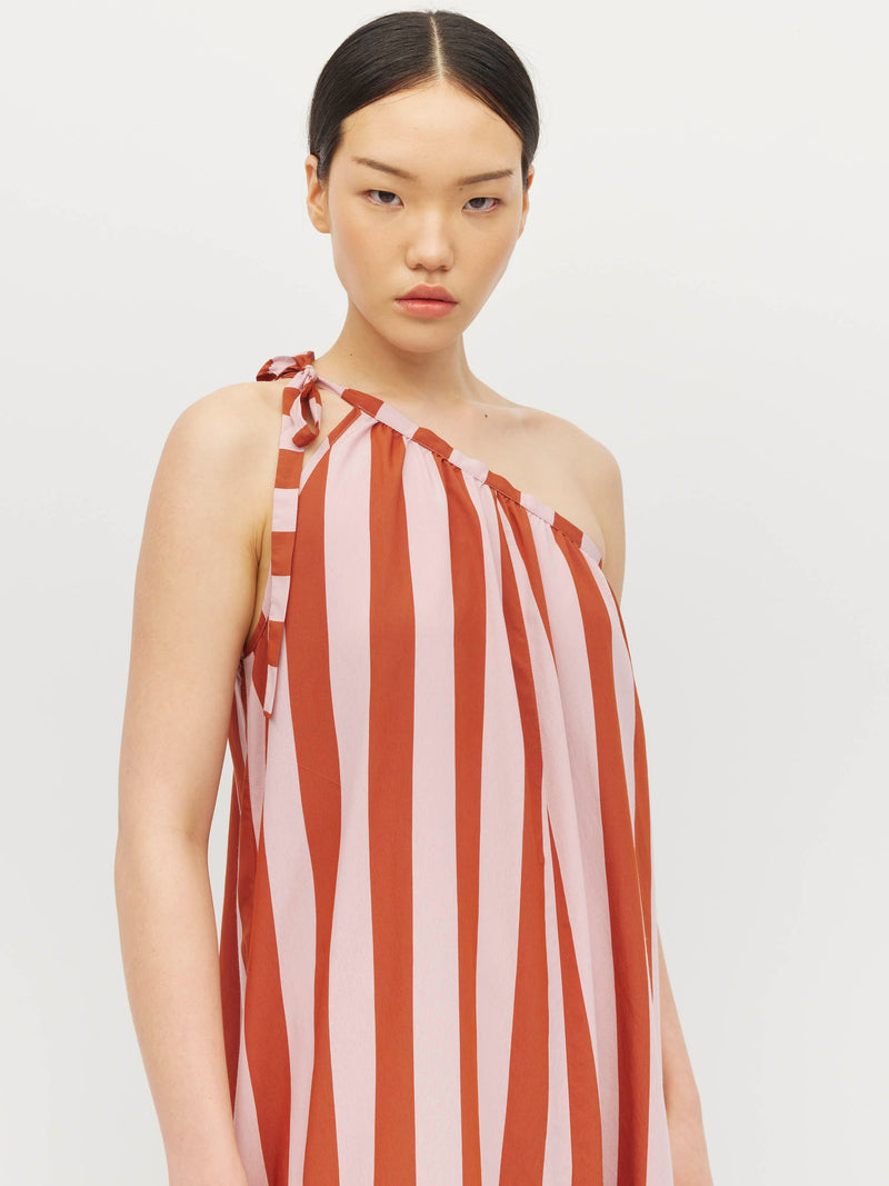 Uno Dress (Palma Stripe) Blush Terra