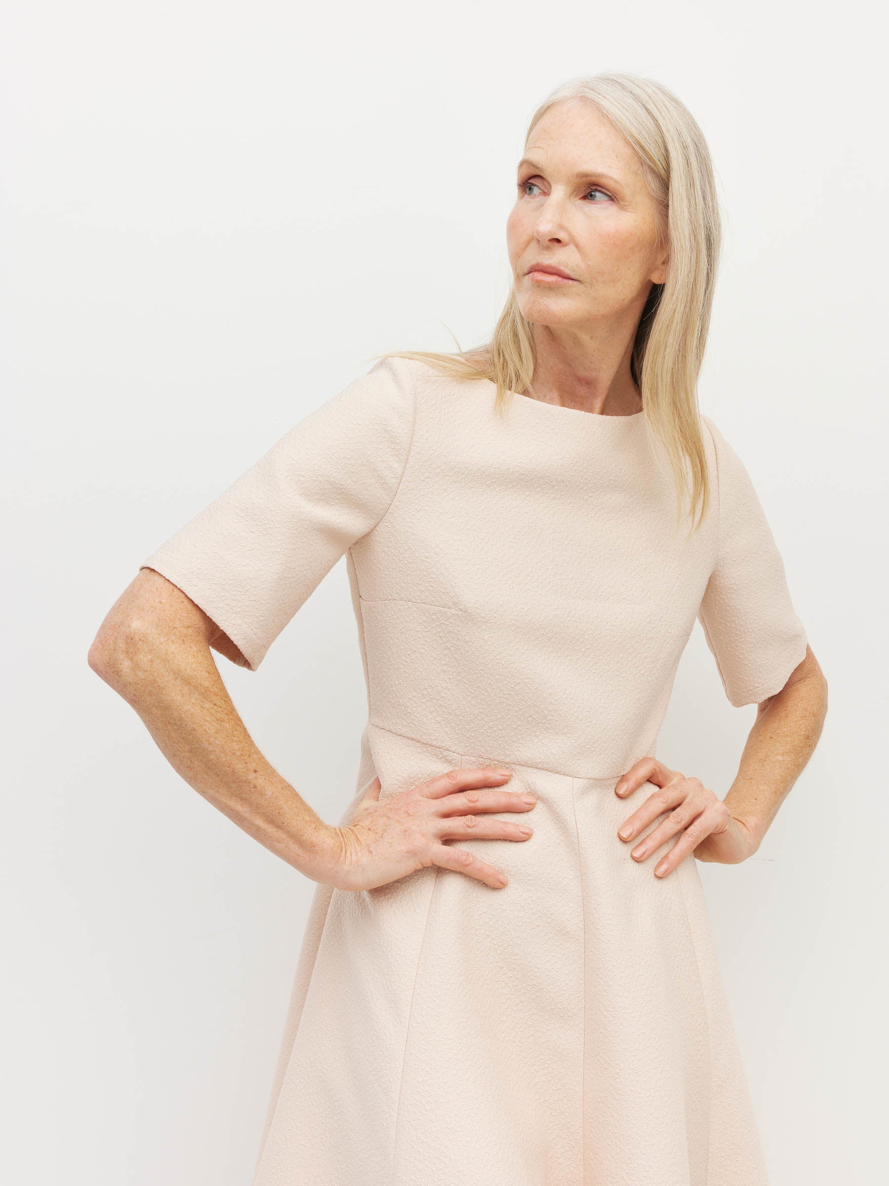 Hudson Dress (Textured Brocade) Blush